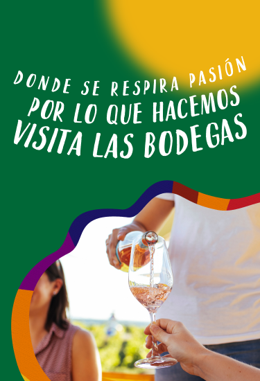 Bodega Mb